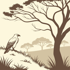  Eagle Perched in Savanna Landscape near Shatgara