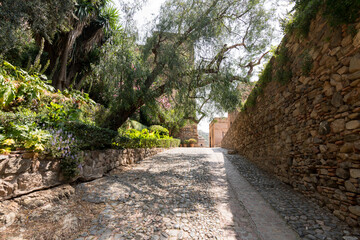 Shaded stone path inside the Alcazaba of Málaga, lined with lush greenery and old walls, leading to another corner of history.