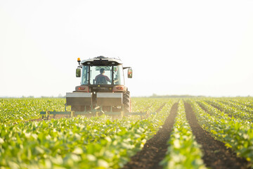 A tractor cultivates lush green crops under a bright sky, showcasing agricultural productivity and sustainable farming practices. © Dejan