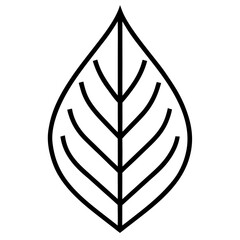 vector illustration of an abstract leaf