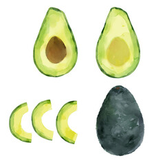 アボカド 水彩画風 手描き イラスト