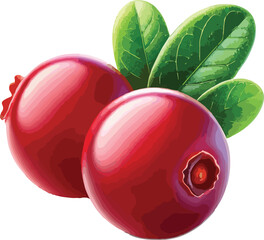 Fresh and vibrant illustration of two ripe cranberries with green leaves
