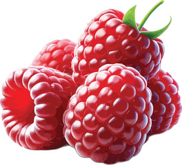 Fresh red raspberries pile on a white background healthy organic fruit dessert food berry © azmir