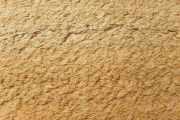 Orange  polyurethane foam harden structure abstract textured backdrop, close up