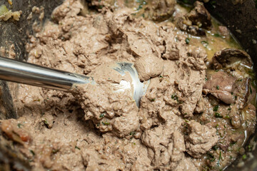 Blending chicken liver with a vertical hand mixer, liver paste recipe process