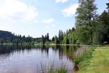 Der Windgfällweiher im Schwarzwald im Frühjahr