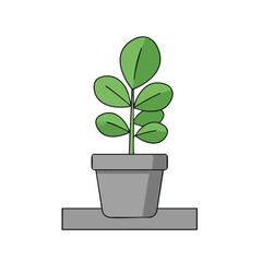 Obraz premium Potted Plant on Windowsill