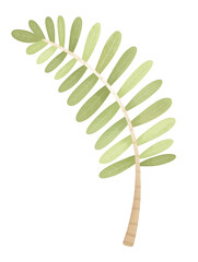 Cartoon palm frond leaf illustration in green on a white background