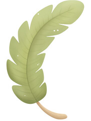 Cartoon jungle leaf illustration in soft green on a white background