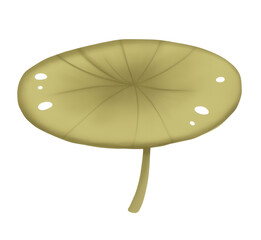 Cartoon lotus leaf illustration in green on a white background