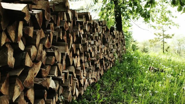 Firewood neatly stacked alongside a meadow full of dandelions in the Staro Selo village. Horizontal 4k footage.