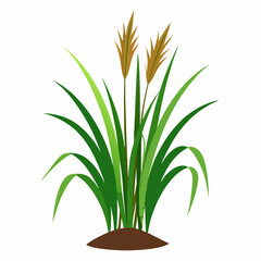 green plant in a pot