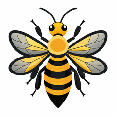 bee on a white