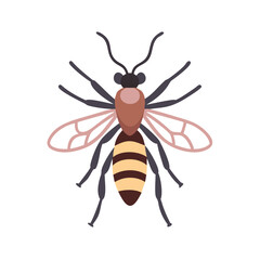 Obraz premium bee isolated on white