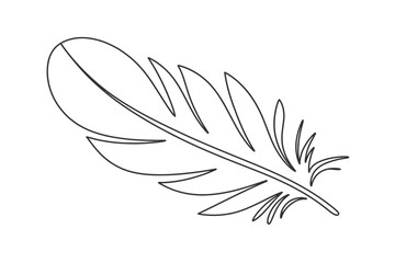 Obraz premium Single Line Feather Drawing Minimalist Bird Feather Illustration