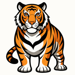 tiger vector illustration