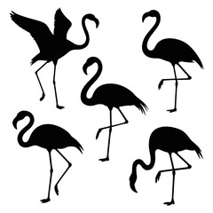 Silhouette of five flamingos in various positions