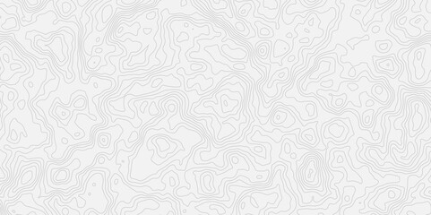 modern white and grey wavey line topography minimalist contour map design featuring  and suitable for artistic purposes.