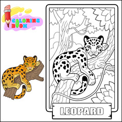 Wild African leopard, outline illustration, coloring page for kids