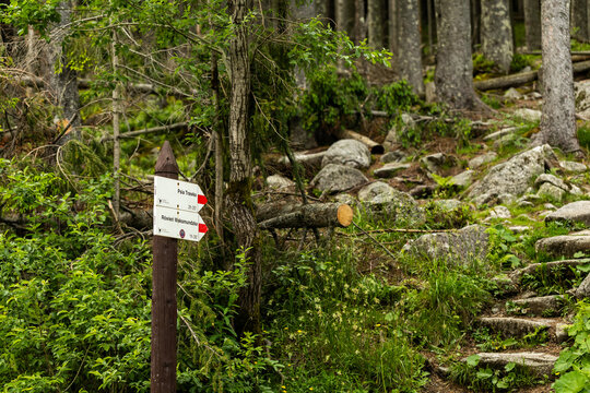 Red trail markers on the hiking path to Morskie Oko lake in Tatra Mountains near Zakopane, Poland, guiding through scenic alpine forest and mountain landscape