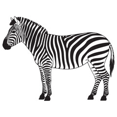 Side Profile Zebra Vector Illustration &ndash; Black and White African Wildlife Animal Design