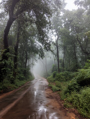 Obraz premium Nature & Environment