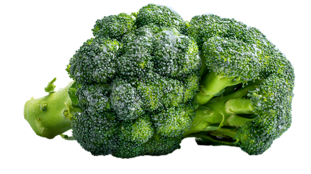 Fresh broccoli head with water droplets against background depicting healthy eating and nutritional benefits.
