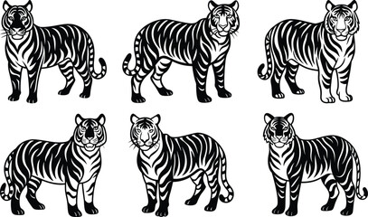 Obraz premium Six Black and White Tigers Standing Elegant Wildlife Art