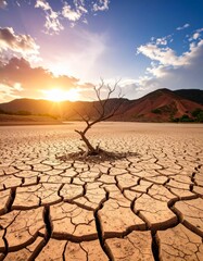 global warming; dry tree branch, desert landscape