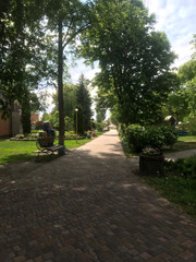 Peaceful park pathway lined with trees on a sunny day