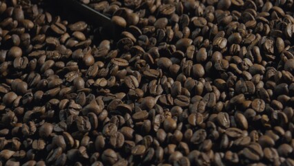 Metal scoop picking roasted coffee beans from a