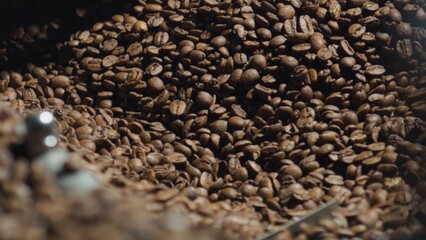 Coffee beans rotating in a roasting machine during