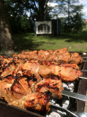 Grilled chicken skewers cooking outdoors in summer sunshine