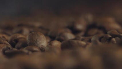 Roasted coffee beans showing texture and rich