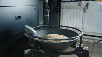 Coffee roasting process showing freshly roasted