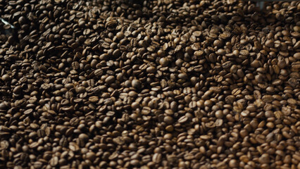 Roasted coffee beans poured for processing and