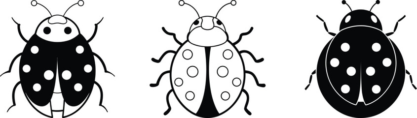 ladybug black and white vector set art and illustration