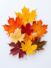 Vibrant autumn maple leaves in a colorful pile against a white background capturing the essence of fall with a flat lay composition and natural light
