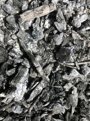 Charcoal fragments spread across a rustic surface in daylight