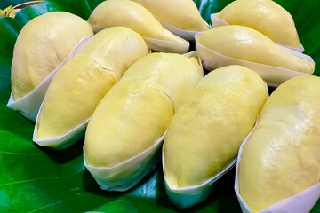Several pieces of fresh ripe durian are neatly arranged on a green banana leaf. Each piece of durian is carefully wrapped on the bottom with white wax paper. The best Thai fruit.