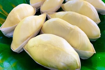 Several pieces of fresh ripe durian are neatly arranged on a green banana leaf. Each piece of durian is carefully wrapped on the bottom with white wax paper. The best Thai fruit.