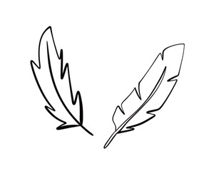 Vector Illustration of a Hand Drawn Feather Doodle