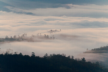High angle view of mountain with fluffy fog in the morning. The sun rises shines through the trees,...