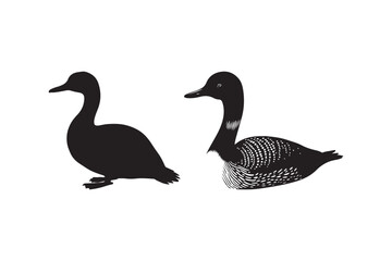 Common Loon Bird Silhouettes