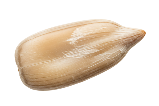 Close up of a single shelled sunflower seed isolated on black background for food photography on transparent background