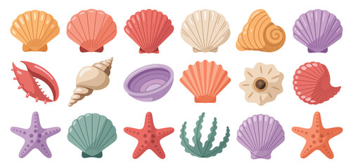 Collection of Colorful Seashells Starfish and Sea Life