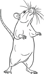 Fototapeta premium Rat Standing Up Line Art