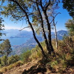 Obraz premium travelling