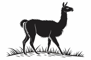 llama sihouette black vector