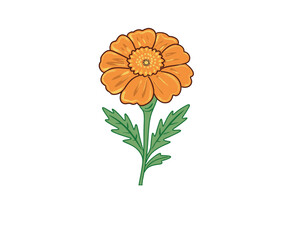Vector illustration, flat cartoon orange luminous marigold flower isolated on white background
